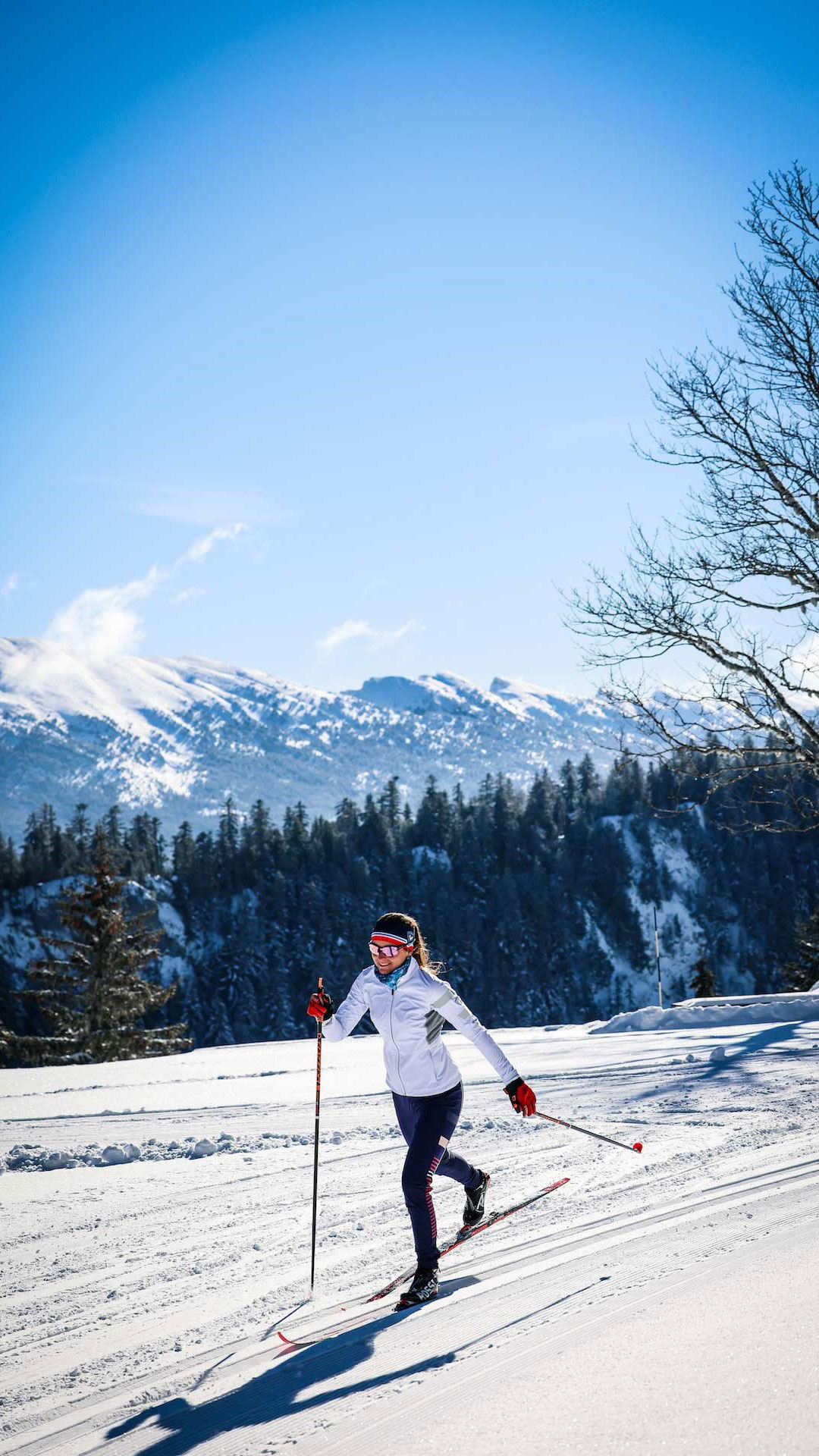 Comité ski Pyrénées Occitanie