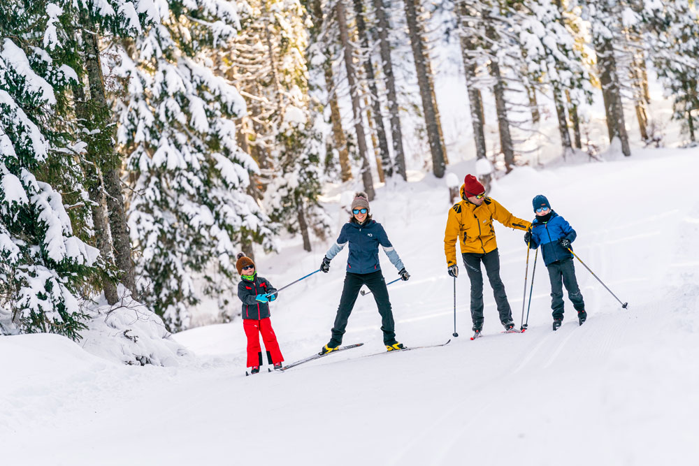 Famille avec enfants qui réalise du ski de fond en forêt