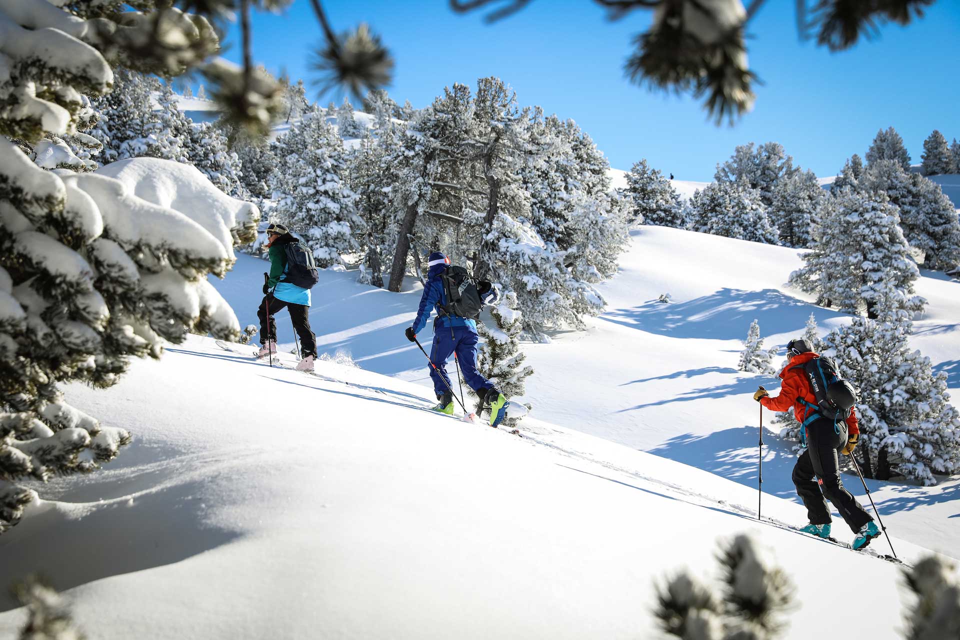 Groupe de personnes qui montent une pente en ski de randonnée
