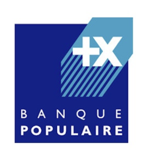 Logo domaines skiables de France